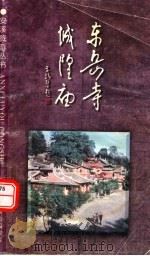 东岳寺  城隍庙     PDF电子版封面    王亚菲主编；黄剑青，陈子川副主编 