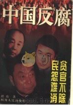 中国反腐   1998  PDF电子版封面  7220041918  鲜琦著 