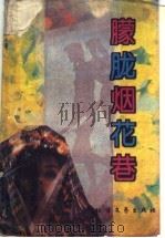 朦胧烟花巷（1994 PDF版）