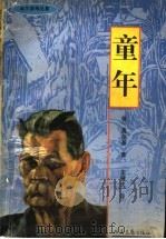 高尔基精品集  童年   1996  PDF电子版封面  7537815380  （俄）高尔基编 