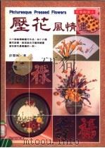 花艺教室  压花风情画（1995 PDF版）