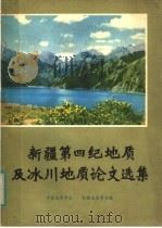 新疆第四纪地质及冰川地质论文选集（1983 PDF版）