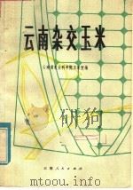 云南杂交玉米（1979 PDF版）
