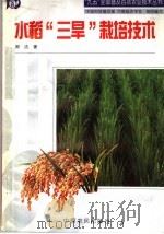 水稻“三旱”栽培技术（1998 PDF版）