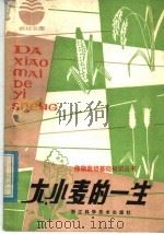 大小麦的一生   1982  PDF电子版封面  16221·36  陈锡臣编写 