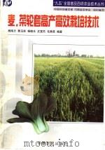 麦、菜轮套高产高效栽培技术   1998  PDF电子版封面  7806411208  杨南方等编著 