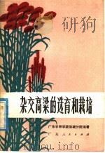 杂交高梁的选育和栽培   1974  PDF电子版封面  16111·202  广东农林学院翁城分院编著 