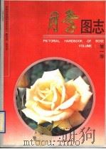 月季图志 第1卷   1991  PDF电子版封面  7537506612  陈世诚，张玉会编 