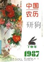 中国农历  1987  丁卯年     PDF电子版封面     