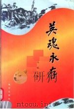 英魂永存   1996  PDF电子版封面  7502741518  马焰主编 