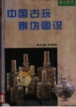 中国古玩辨伪图说   1995  PDF电子版封面  7540200197  李雪梅主编 