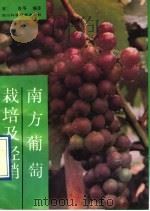 南方葡萄栽培与经销（1991 PDF版）
