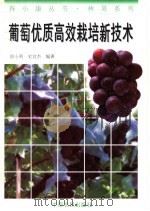 葡萄优质高效栽培新技术   1996  PDF电子版封面  780538925X  徐小利，史宣杰编著 