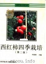 西红柿四季栽培  第2版   1996  PDF电子版封面  7502326480  叶秋林主编 
