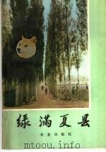 绿满夏县   1977  PDF电子版封面  3144·190  林林，杨杨著 