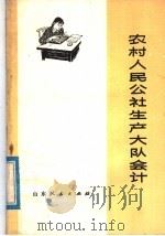 农村人民公社生产大队会计（1976 PDF版）