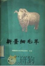 新疆细毛羊   1979  PDF电子版封面  16098·20  新疆维吾尔自治区畜牧局主编 