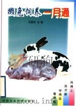獭兔饲养一月通   1999  PDF电子版封面  7810661086  王建民主编 