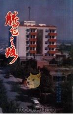 腾飞之路：中共河南省巩义市二十里铺村简史（1996 PDF版）