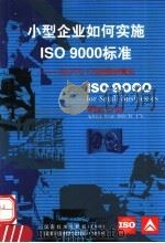 小型企业如何实施ISO9000标准：ISO/TC176的指导意见   1999  PDF电子版封面  7506619229  国际标准化组织编；徐有刚等译 