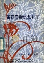 黄花菜栽培和加工   1984  PDF电子版封面  16221·105  浙江省副食品公司主编 