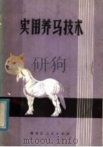 实用养马技术   1973  PDF电子版封面  16093·90  黑龙江省双城农业学校编著 