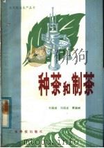 种茶和制茶   1983  PDF电子版封面  16182·59  刘佩娥等编 