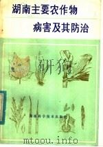 湖南主要农作物病害及其防治（1988 PDF版）
