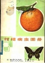 柑桔病虫图册   1975  PDF电子版封面  16118·8  中国农业科学院柑桔研究所编绘 
