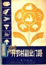 广开农村副业门路（1981 PDF版）