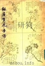 龢庵百花画谱（1983 PDF版）