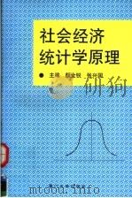 社会经济统计学原理   1994  PDF电子版封面  7561509316  颜金锐，张兴国主编 