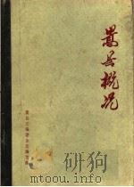 嵩县概况   1985  PDF电子版封面    嵩县志编委会总编辑室编 