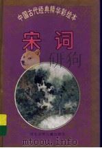 中国古代经典精华彩绘本  宋词   1996  PDF电子版封面  7537613540  唐鲁峰选译 