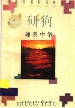 魂系中华（1996 PDF版）