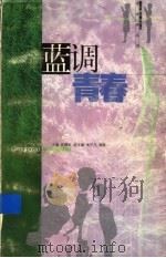 蓝调青春   1999  PDF电子版封面  7534336244  沈曙虹主编 