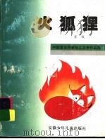 火狐狸   1995  PDF电子版封面  7539711930  金波著 