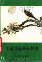 工笔花鸟基础技法   1989  PDF电子版封面  7533001850  孔端甫著 