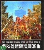 赵以雄新疆油画写生   1980  PDF电子版封面  M8098·346  赵以雄绘 