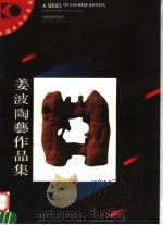 姜波陶艺作品集   1992  PDF电子版封面  7540102446  姜波作 