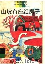 山坡有座红房子   1996  PDF电子版封面  7533420594  陈秋影著 