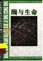 酶与生命   1996  PDF电子版封面  7533713338  王贤舜，虞志方编著 