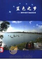 蓝色之梦：漳州市海洋与渔业风采录（ PDF版）