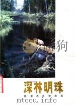 深林明珠  简崇志水粉画选（1981 PDF版）