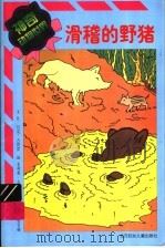神奇动物世界  滑稽的野猪   1999  PDF电子版封面  7538517022  让·吕克·古得雷著 