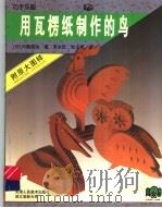 用瓦楞纸制作的鸟   1997  PDF电子版封面  753050665X  （日）内藤英治著；宋永红，杜小军译 