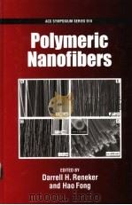 Polymeric Nanofibers（ PDF版）