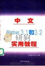 中文Windows3.1和3.2实用教程   1996  PDF电子版封面  7502741534  北京希望电脑公司编著 