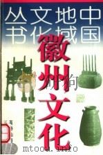 徽州文化  第2版   1998  PDF电子版封面  7538216871  高寿仙著 