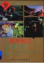 精武神功（1995 PDF版）